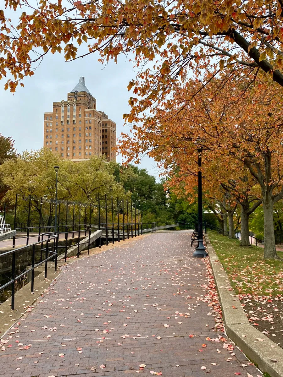 Tree-lined autumn walkway in downtown Akron, OH with golden foliage framing a classic brick high-rise building