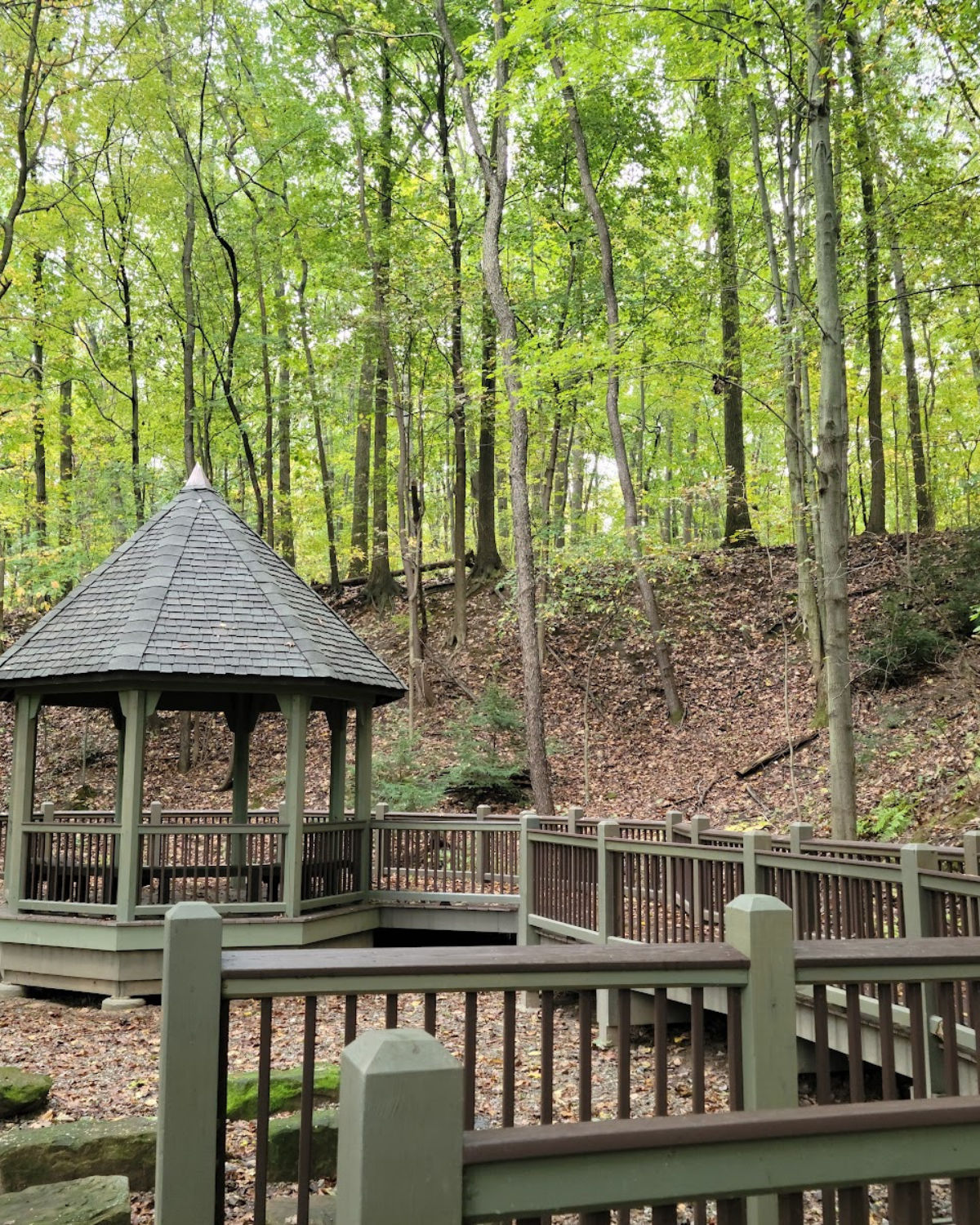 Wooden gazebo nestled among tall trees on a forested trail in Kent, Ohio