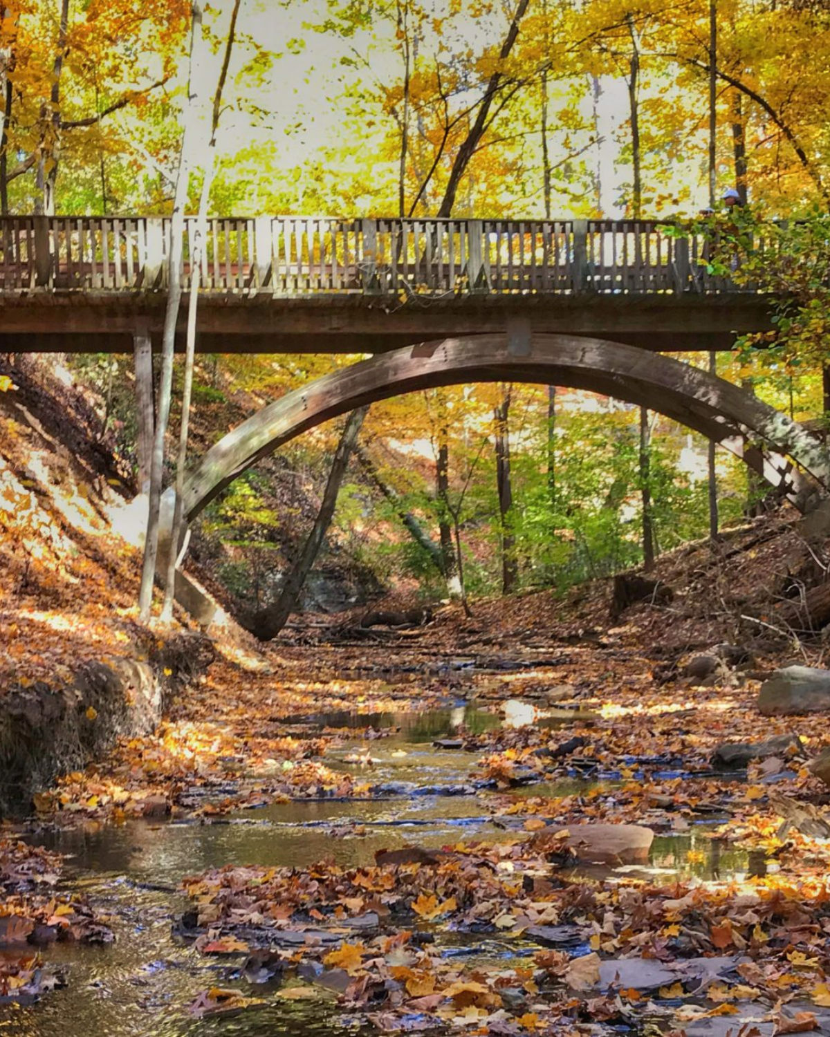 Rustic stone arch bridge surrounded by lush forest and a flowing creek at Highbanks Metro Park near Lewis Center, Ohio