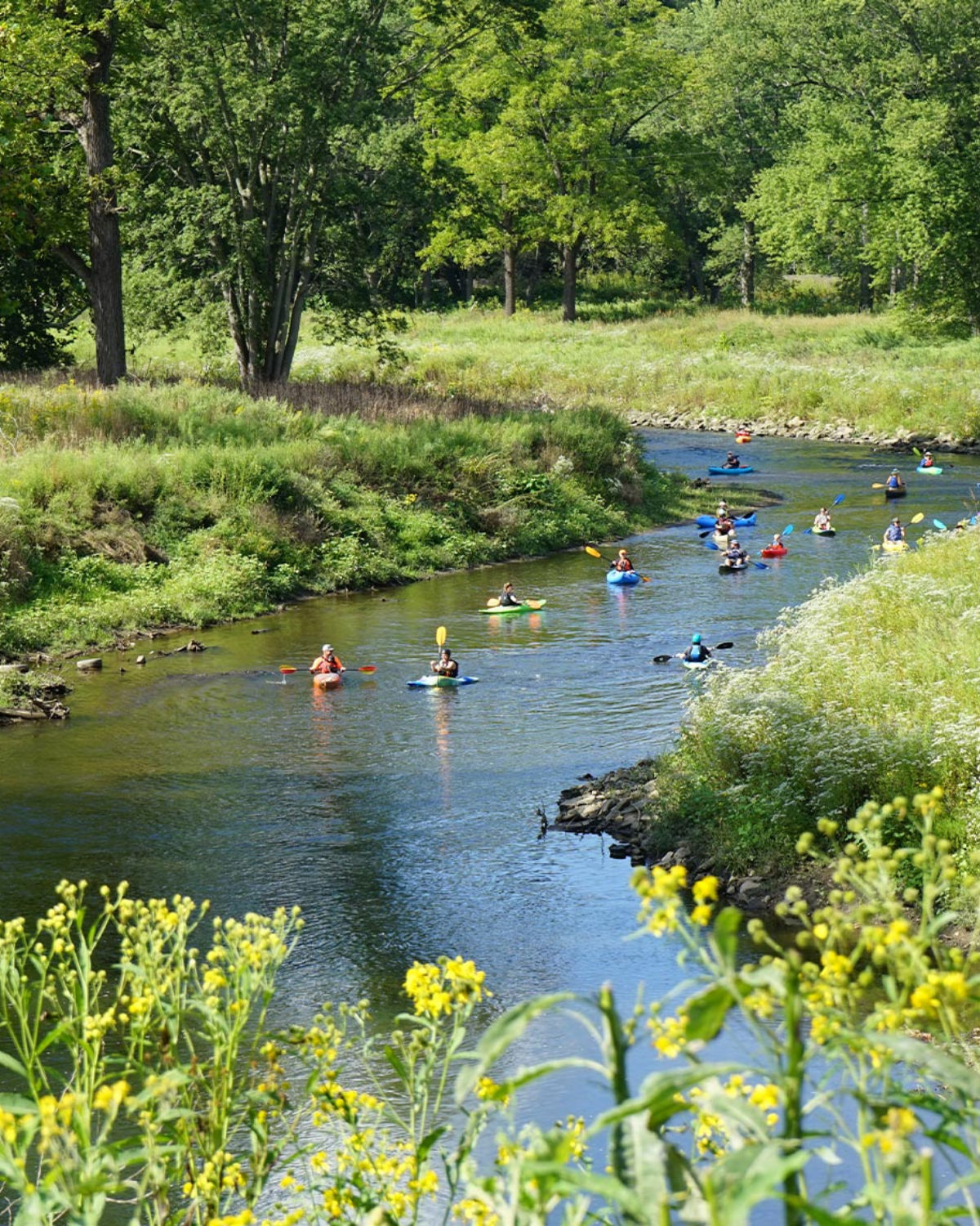 Kayakers paddling along a peaceful tree-lined river on a sunny summer day in Munroe Falls, Ohio