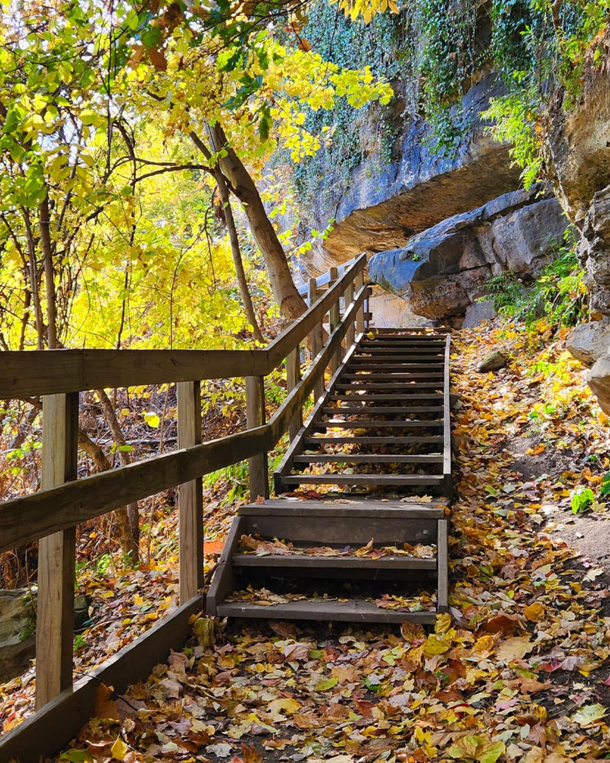 Wooden staircase descending through autumn foliage and rocky terrain along a scenic trail near Cuyahoga Valley National Park in Northfield, Ohio