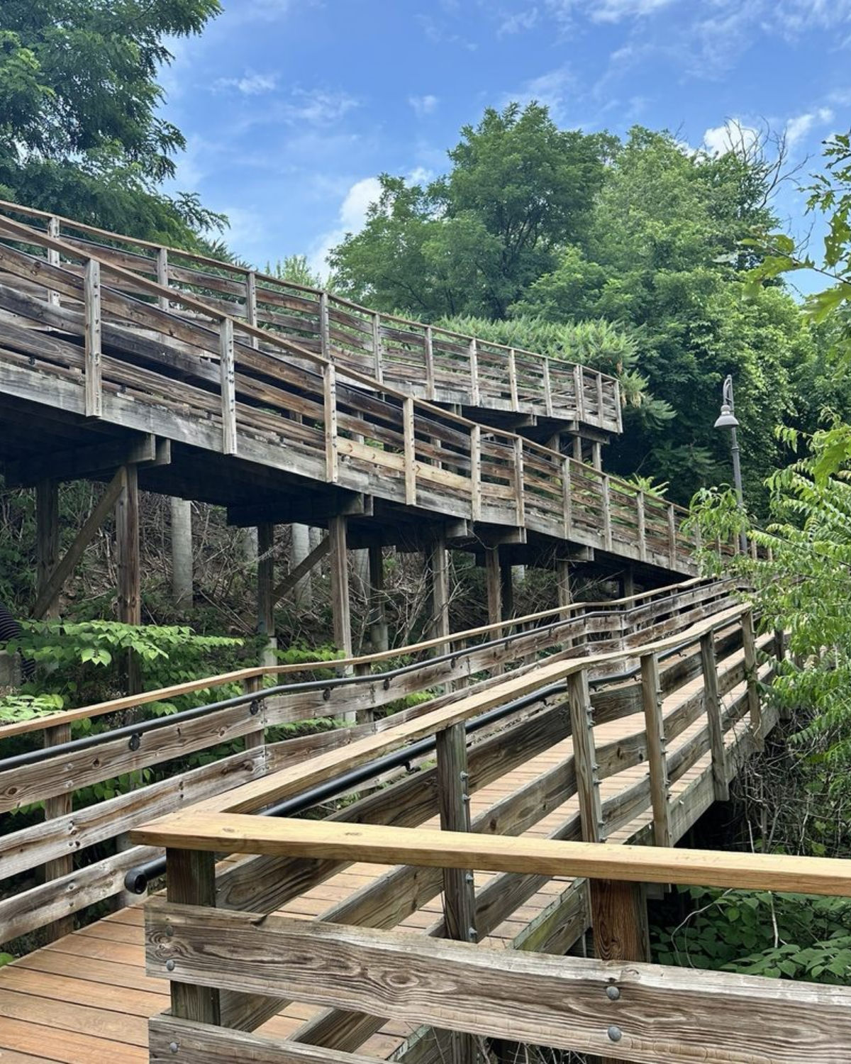 Elevated wooden boardwalk trail winding through a lush green forest canopy on a sunny summer day in Stow, Ohio