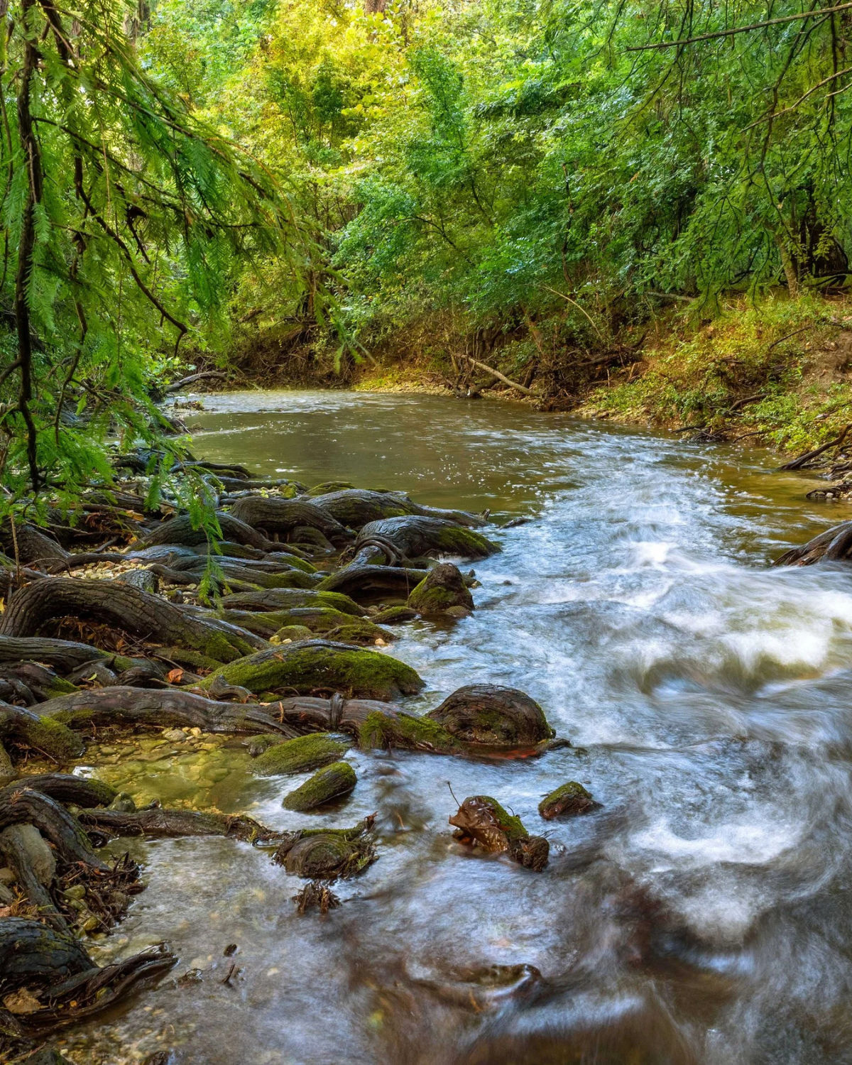 The Cibolo Nature Center and Veterans Memorial Park reflect Cibolo's outdoor, family-friendly character.