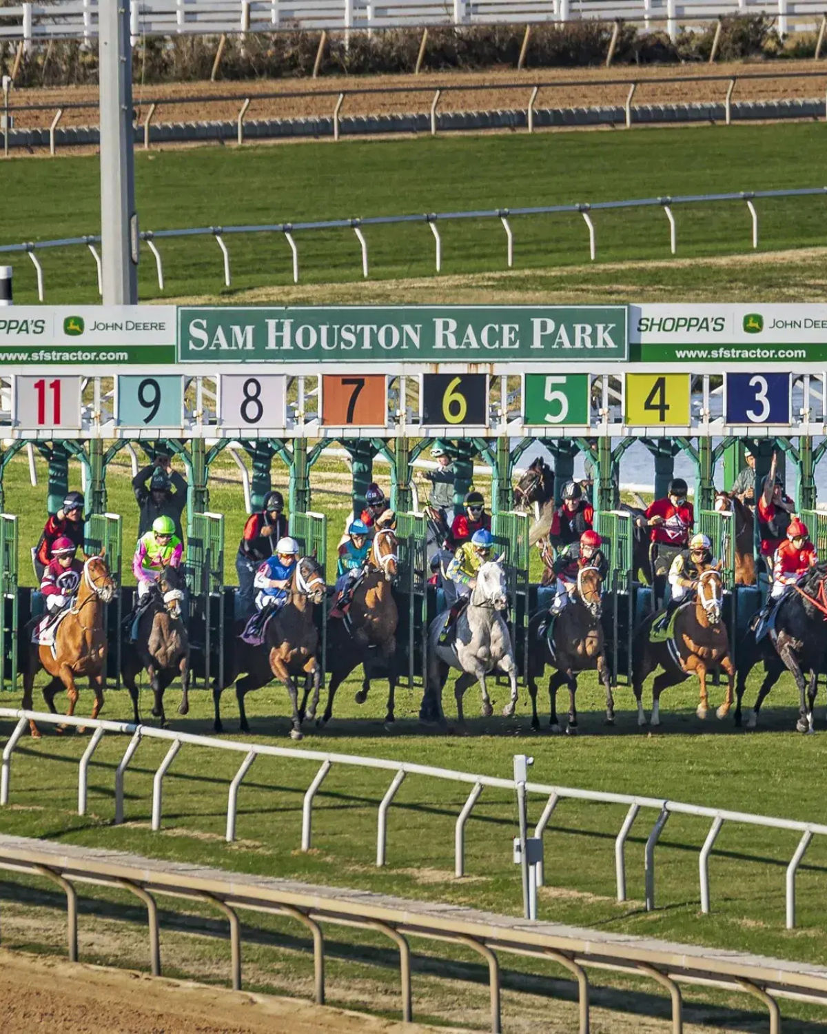 Horse race starting at Sam Houston Race Park near Cypress, Texas, with jockeys in colorful silks urging their horses out of the starting gate as they charge onto the bright green track.