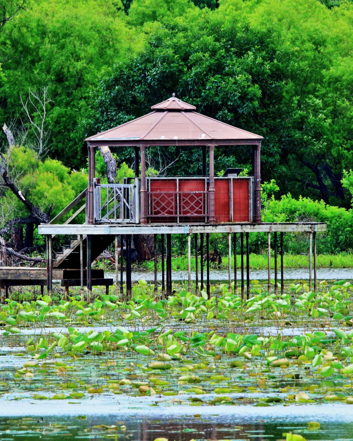 Lewisville Lake Park and LLELA Nature Preserve highlight Lewisville's lakefront recreation and outdoor spaces.
