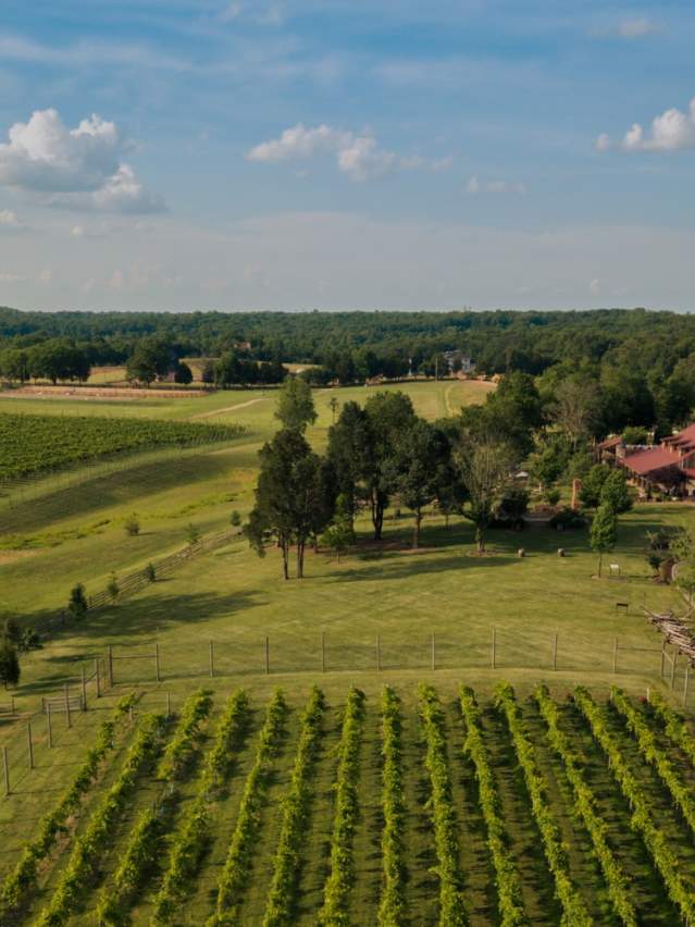 Scenic view of The Winery at Bull Run near Centreville, Virginia, featuring rows of vineyard grapevines, open fields, mature trees, and the surrounding Virginia countryside beneath a blue sky.