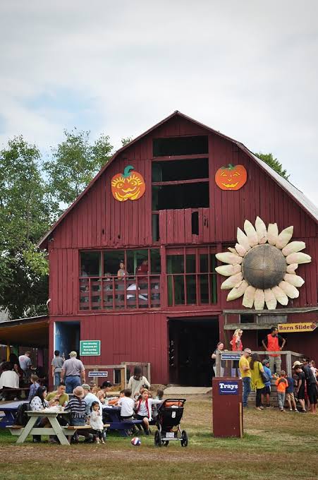 Families enjoying seasonal activities at Cox Farms in Chantilly, Virginia, featuring the iconic red barn, picnic areas, and festive farm attractions during fall.