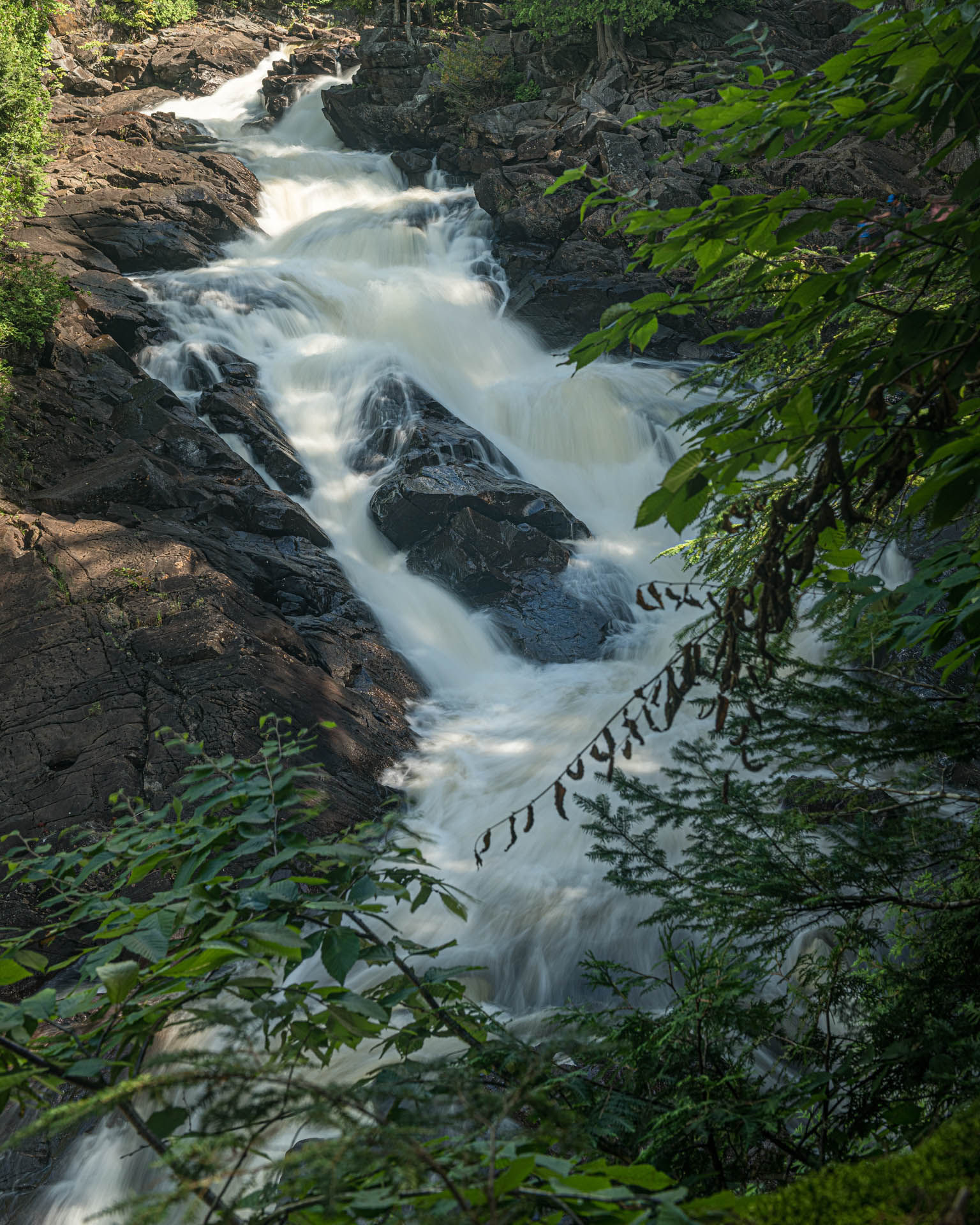 Great Falls Park near Sterling, Virginia, featuring powerful whitewater rapids rushing through rugged rock formations, surrounded by lush green forest and scenic hiking trails.