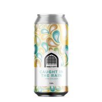 Vault City Brewing Caught in the Rain Piña Colada Can 440ml Product Image