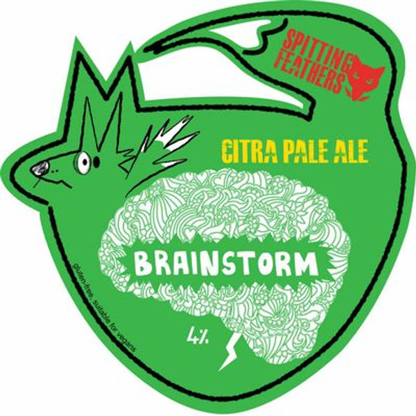 Brainstorm Bottle 500ml