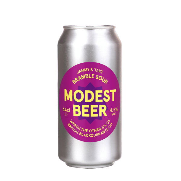 Modest Beer BLACKCURRANT BRAMBLE FRUIT SOUR Can 440ml