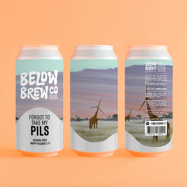 Below Brew Co Forgot To Take My Pils Can 440ml