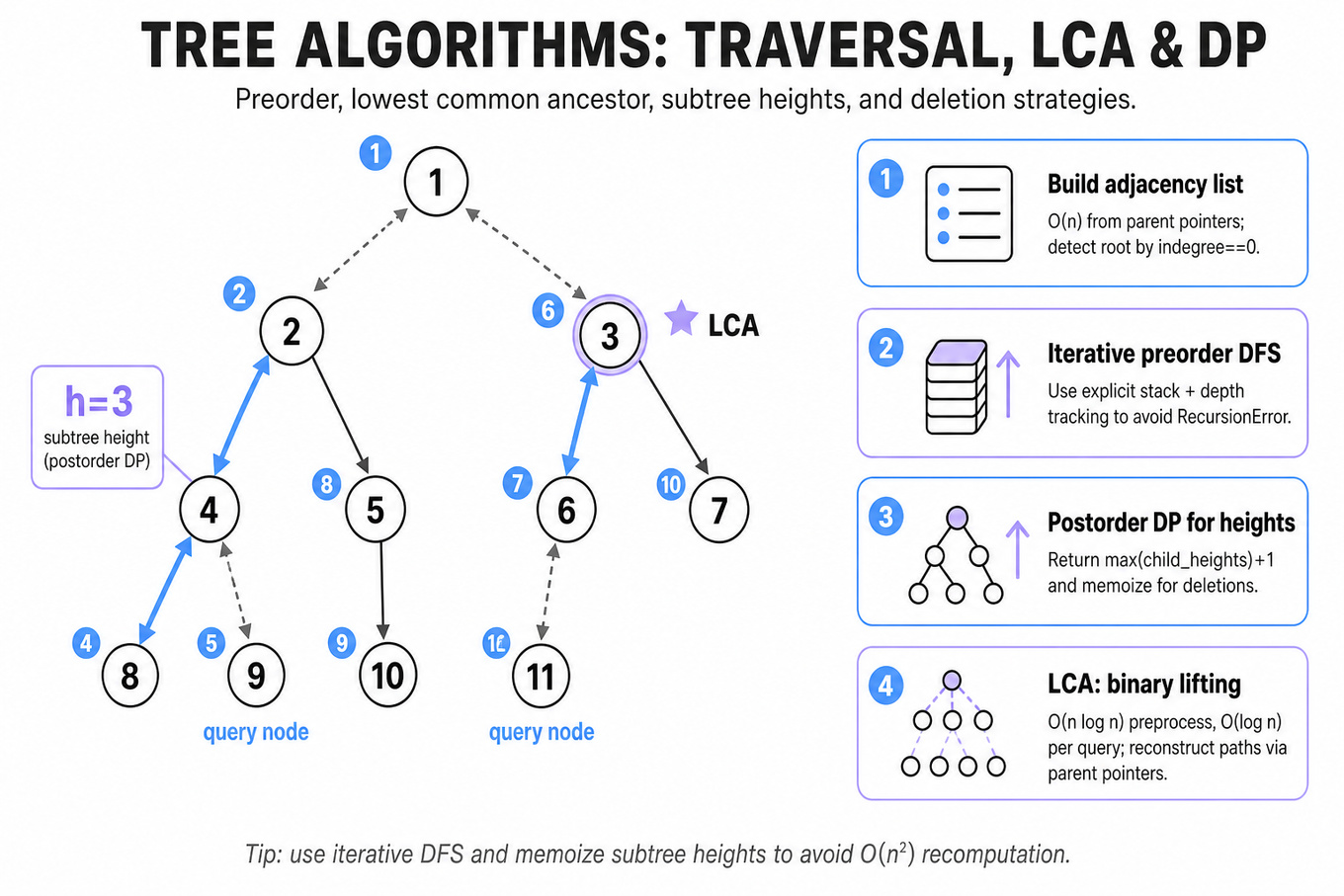 Clean infographic showing a labelled tree diagram with preorder numbers, a highlighted LCA path between two nodes, subtree-height callouts, and four right-side rounded cards summarizing adjacency list, iterative DFS, postorder DP for heights, and binary-lifting LCA.