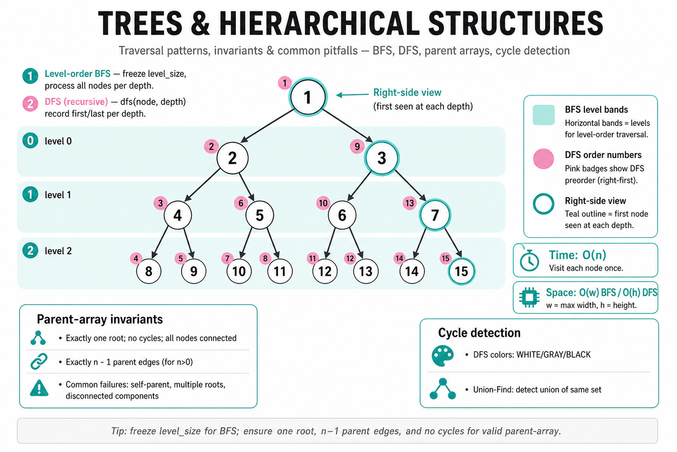 Editorial infographic: a labeled binary tree diagram showing BFS level bands, DFS preorder visit order, right-side view nodes highlighted, parent-array checklist and complexity callouts.