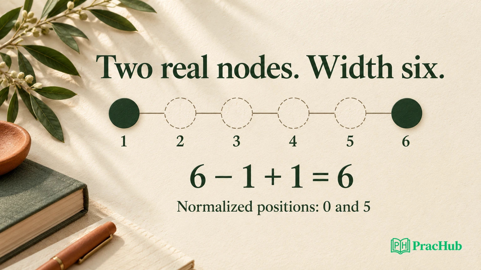 Maximum Width of Binary Tree: Null Gaps and Safe Positional Indices ...