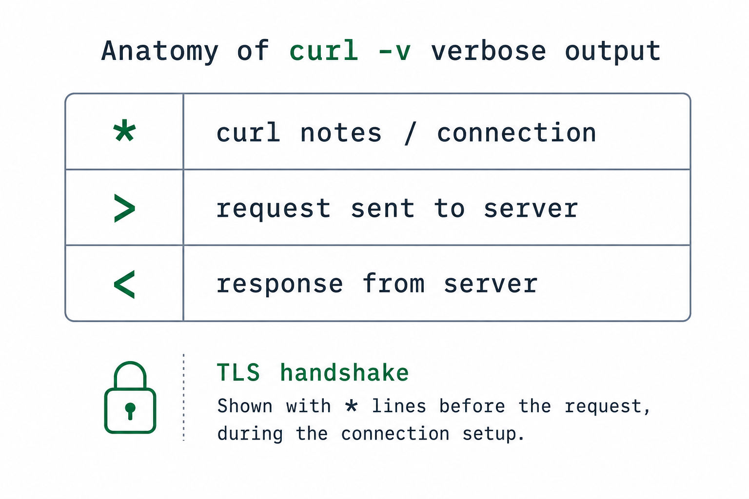 Anatomy of curl -v verbose output
