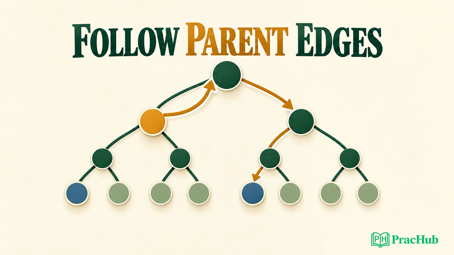 Tree Chart Definition Closest Leaf and Tree Infection: Build a Distance Graph from a Binary ...