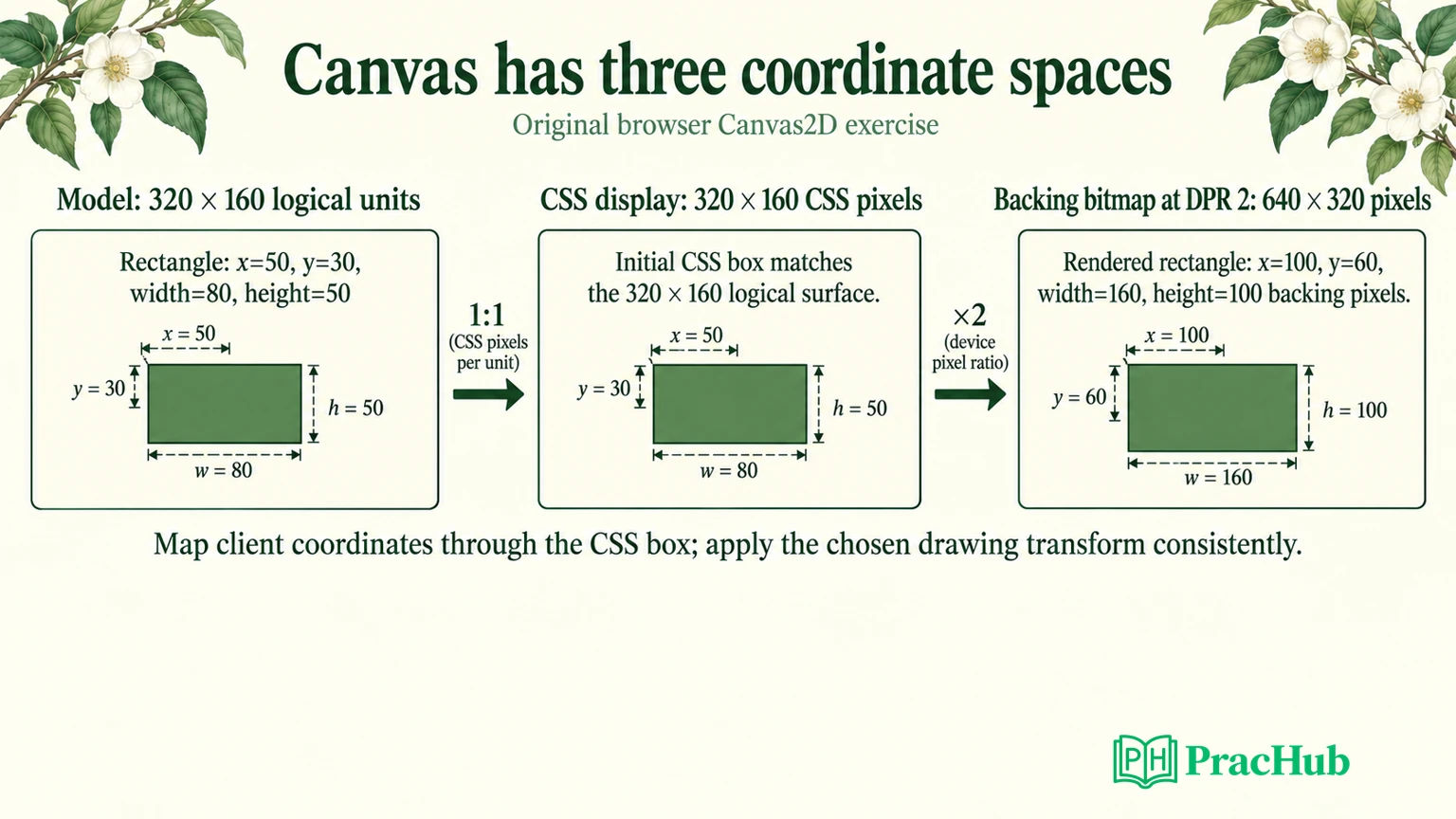 HTML Canvas Interview Exercise: Device Pixels, Hit Testing, and Resize ...