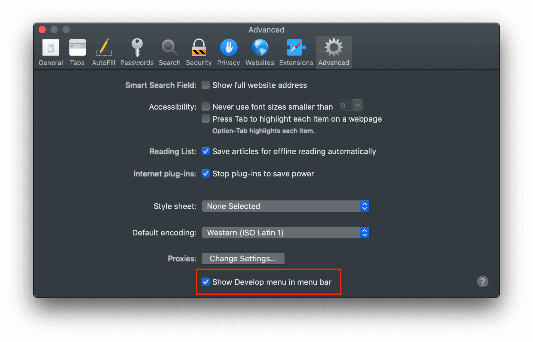 safari-advanced-settings