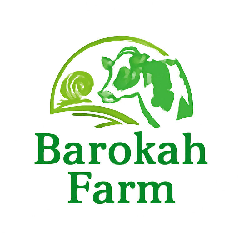 Barokah Farm - Penjualan Hewan Qurban dan Aqiqah Berkualitas