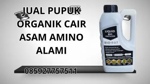 085927757511 Jual Pupuk Organik Cair Asam Amino Alami  Subang 085927757511 Jual Pupuk Organik Cair Asam Amino Alami  Subang