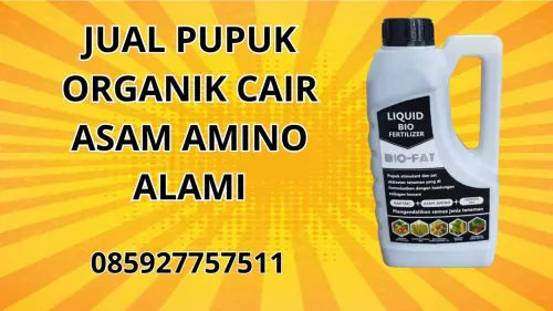 085927757511 Jual Pupuk Organik Cair Asam Amino Alami Kerinci 085927757511 Jual Pupuk Organik Cair Asam Amino Alami Kerinci