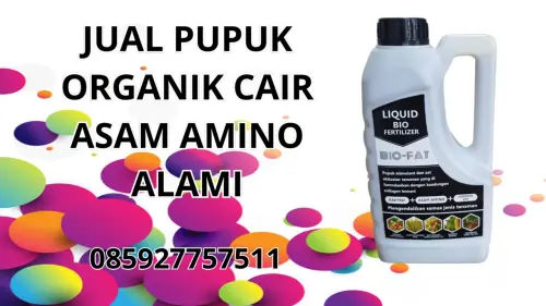 085927757511 Jual Pupuk Organik Cair Asam Amino Alami Hidroponik Siau Tagulandang Biaro 085927757511 Jual Pupuk Organik Cair Asam Amino Alami Hidroponik Siau Tagulandang Biaro