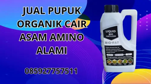 085927757511 Jual Pupuk Organik Cair Asam Amino Alami  Wonogiri 085927757511 Jual Pupuk Organik Cair Asam Amino Alami  Wonogiri
