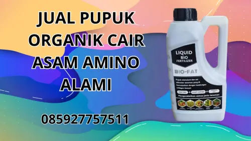 085927757511 Jual Pupuk Organik Cair Asam Amino Alami Hidroponik Sukoharjo 085927757511 Jual Pupuk Organik Cair Asam Amino Alami Hidroponik Sukoharjo