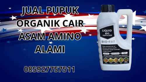 085927757511 Jual Pupuk Organik Cair Asam Amino Alami  Batang 085927757511 Jual Pupuk Organik Cair Asam Amino Alami  Batang