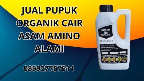 085927757511 Jual Pupuk Organik Cair Asam Amino Alami Hidroponik Minahasa Utara 085927757511 Jual Pupuk Organik Cair Asam Amino Alami Hidroponik Minahasa Utara
