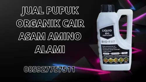085927757511 Jual Pupuk Organik Cair Asam Amino Alami Hidroponik Kepulauan Sangihe 085927757511 Jual Pupuk Organik Cair Asam Amino Alami Hidroponik Kepulauan Sangihe