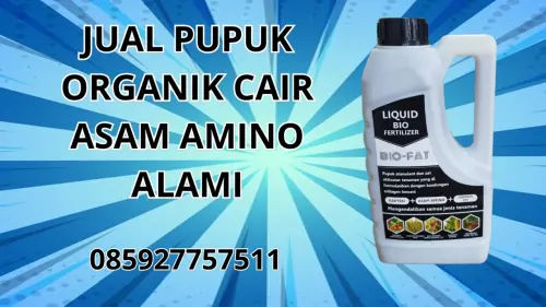085927757511 Jual Pupuk Organik Cair Asam Amino Alami Muna Barat 085927757511 Jual Pupuk Organik Cair Asam Amino Alami Muna Barat