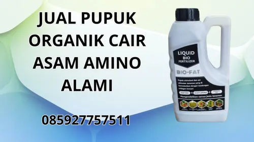 085927757511 Jual Pupuk Organik Cair Asam Amino Alami Barito Selatan 085927757511 Jual Pupuk Organik Cair Asam Amino Alami Barito Selatan