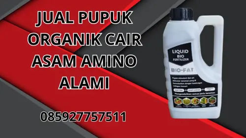 085927757511 Jual Pupuk Organik Cair Asam Amino Alami Hidroponik Muna 085927757511 Jual Pupuk Organik Cair Asam Amino Alami Hidroponik Muna