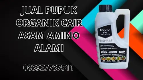 085927757511 Jual Pupuk Organik Cair Asam Amino Alami Kulon Progo 085927757511 Jual Pupuk Organik Cair Asam Amino Alami Kulon Progo