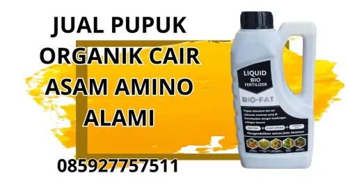 085927757511 Jual Pupuk Organik Cair Asam Amino Alami  Berau