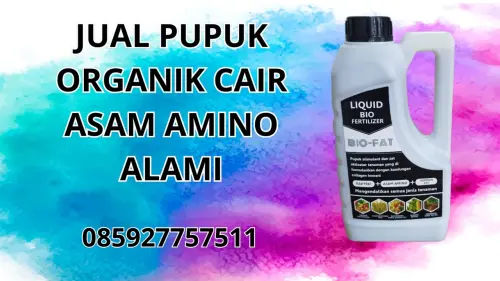 085927757511 Jual Pupuk Organik Cair Asam Amino Alami Jakarta Selatan