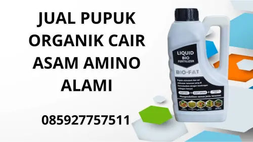 085927757511 Jual Pupuk Organik Cair Asam Amino Alami Sanggau 085927757511 Jual Pupuk Organik Cair Asam Amino Alami Sanggau