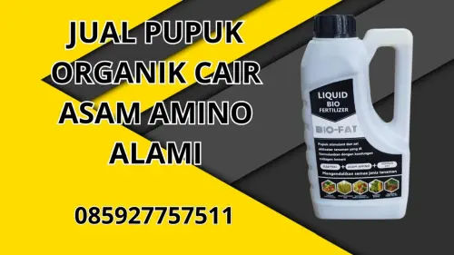 085927757511 Jual Pupuk Organik Cair Asam Amino Alami Sarolangun 085927757511 Jual Pupuk Organik Cair Asam Amino Alami Sarolangun
