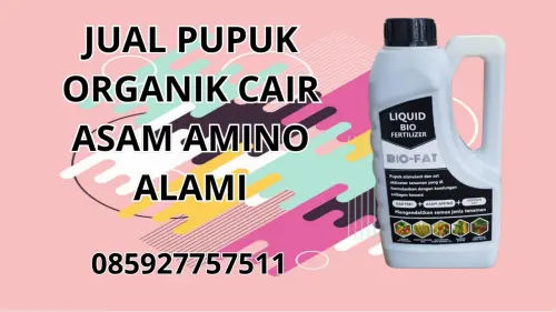 085927757511 Jual Pupuk Organik Cair Asam Amino Alami Flores Timur 085927757511 Jual Pupuk Organik Cair Asam Amino Alami Flores Timur