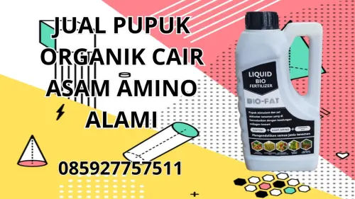 085927757511 Jual Pupuk Organik Cair Asam Amino Alami Batang Hari 085927757511 Jual Pupuk Organik Cair Asam Amino Alami Batang Hari