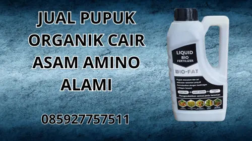 085927757511 Jual Pupuk Organik Cair Asam Amino Alami Gunung Kidul 085927757511 Jual Pupuk Organik Cair Asam Amino Alami Gunung Kidul