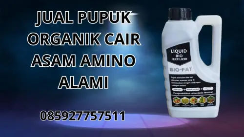 085927757511 Jual Pupuk Organik Cair Asam Amino Alami Probolinggo 085927757511 Jual Pupuk Organik Cair Asam Amino Alami Probolinggo
