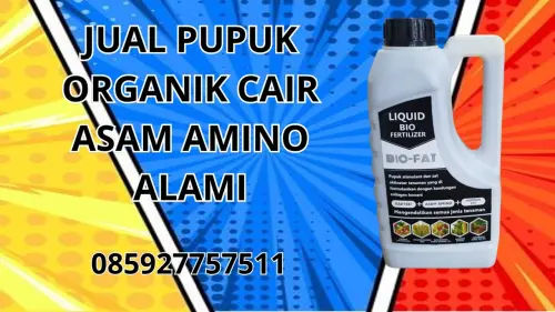 085927757511 Jual Pupuk Organik Cair Asam Amino Alami Bantul 085927757511 Jual Pupuk Organik Cair Asam Amino Alami Bantul