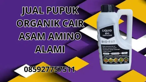 085927757511 Jual Pupuk Organik Cair Asam Amino Alami Paniai 085927757511 Jual Pupuk Organik Cair Asam Amino Alami Paniai
