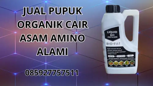 085927757511 Jual Pupuk Organik Cair Asam Amino Alami Hidroponik Baubau 085927757511 Jual Pupuk Organik Cair Asam Amino Alami Hidroponik Baubau