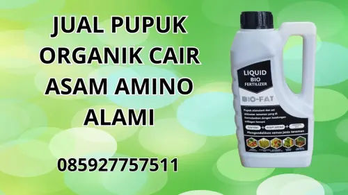 085927757511 Jual Pupuk Organik Cair Asam Amino Alami Hidroponik  Malang