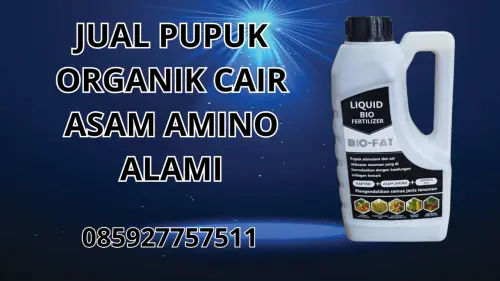 085927757511 Jual Pupuk Organik Cair Asam Amino Alami Belu 085927757511 Jual Pupuk Organik Cair Asam Amino Alami Belu