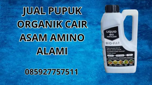 085927757511 Jual Pupuk Organik Cair Asam Amino Alami Pohuwato 085927757511 Jual Pupuk Organik Cair Asam Amino Alami Pohuwato